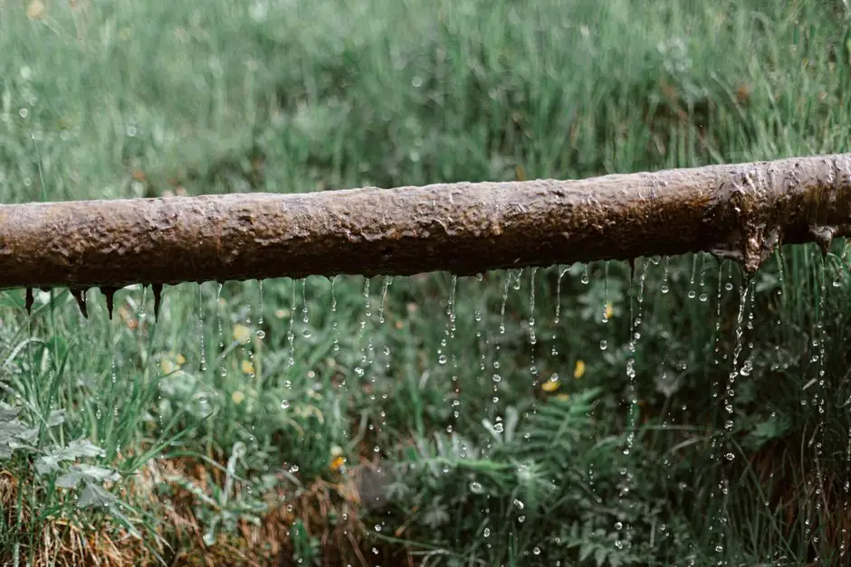 Emergency Leak Repair